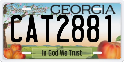 GA license plate CAT2881
