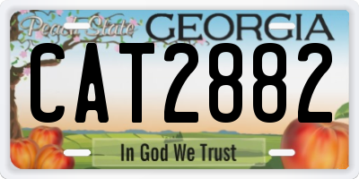 GA license plate CAT2882