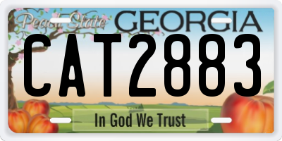 GA license plate CAT2883