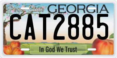 GA license plate CAT2885