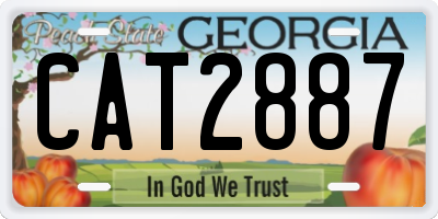 GA license plate CAT2887