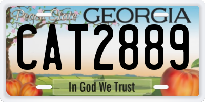 GA license plate CAT2889