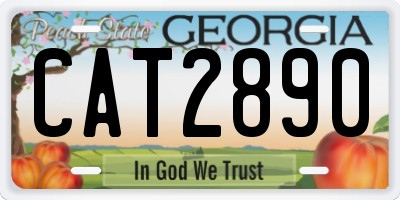 GA license plate CAT2890