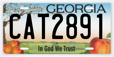 GA license plate CAT2891