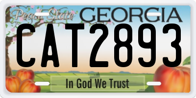 GA license plate CAT2893