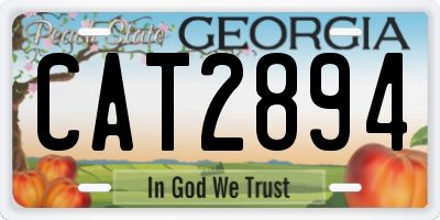 GA license plate CAT2894