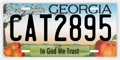 GA license plate CAT2895