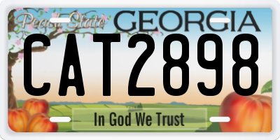 GA license plate CAT2898