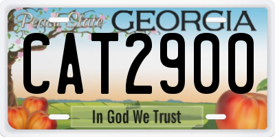 GA license plate CAT2900