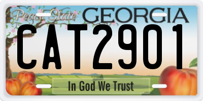 GA license plate CAT2901