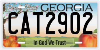 GA license plate CAT2902