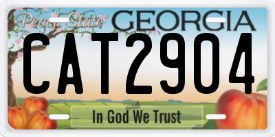 GA license plate CAT2904