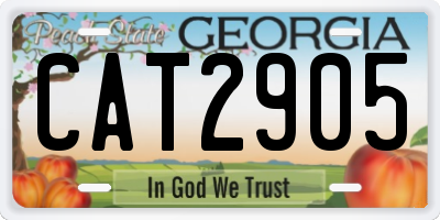 GA license plate CAT2905