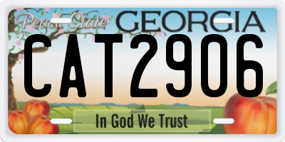 GA license plate CAT2906