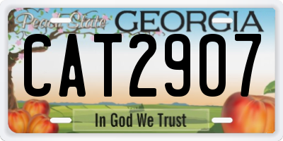 GA license plate CAT2907