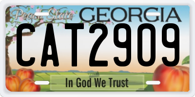 GA license plate CAT2909
