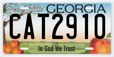 GA license plate CAT2910