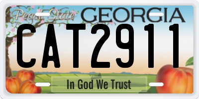 GA license plate CAT2911