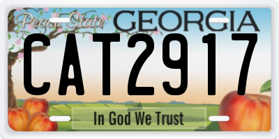 GA license plate CAT2917