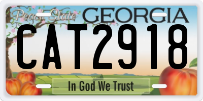 GA license plate CAT2918