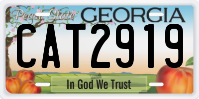 GA license plate CAT2919