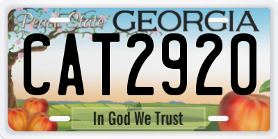 GA license plate CAT2920
