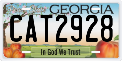 GA license plate CAT2928