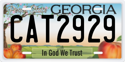 GA license plate CAT2929