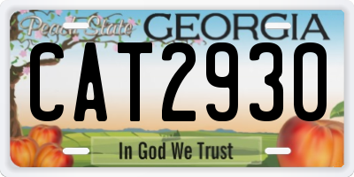 GA license plate CAT2930