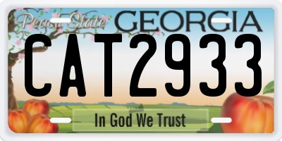 GA license plate CAT2933