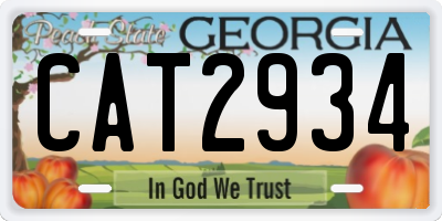 GA license plate CAT2934