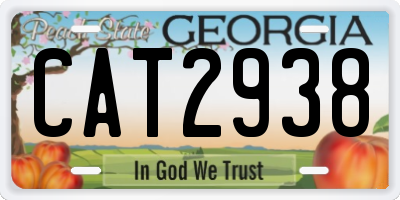 GA license plate CAT2938