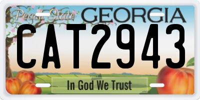 GA license plate CAT2943