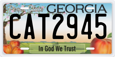 GA license plate CAT2945
