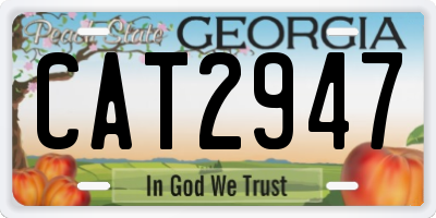 GA license plate CAT2947