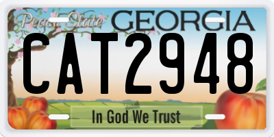 GA license plate CAT2948