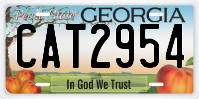 GA license plate CAT2954