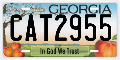 GA license plate CAT2955