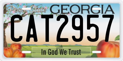 GA license plate CAT2957