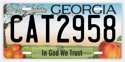 GA license plate CAT2958