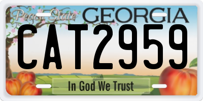 GA license plate CAT2959