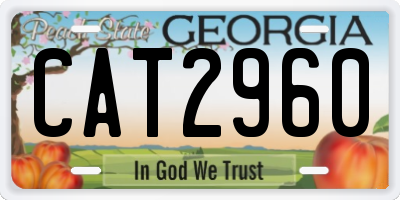 GA license plate CAT2960