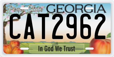 GA license plate CAT2962