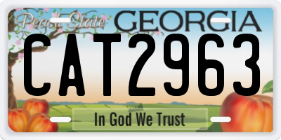 GA license plate CAT2963