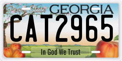 GA license plate CAT2965