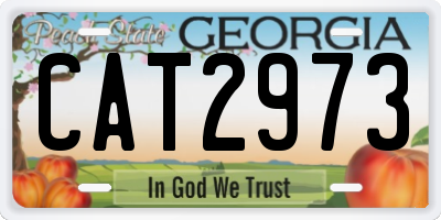 GA license plate CAT2973