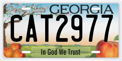 GA license plate CAT2977