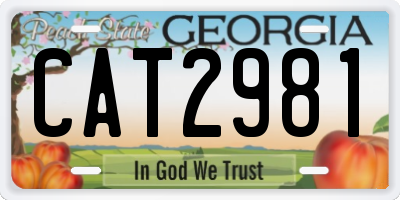 GA license plate CAT2981