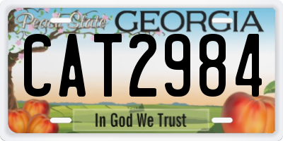GA license plate CAT2984