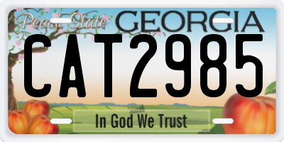 GA license plate CAT2985